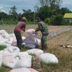 Pasi Aceh Menuju Desa Mandiri