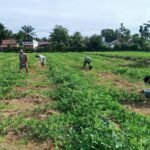 Sinergi TNI-Rakyat Suburkan Pasi Aceh