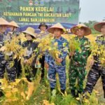 Kodim 1006/Banjar Tunjukkan Soliditas dan Sinergitas di Kegiatan Panen Kedelai