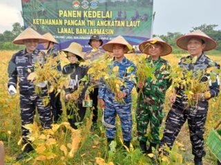 Kodim 1006/Banjar Tunjukkan Soliditas dan Sinergitas di Kegiatan Panen Kedelai