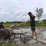 Kemanunggalan TNI dan Rakyat Terlihat Saat Babinsa Bantu Pengolahan Lahan