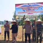 Danramil 01/Jaya Hadiri Penanaman Jagung Serentak Kuartal I Tahun 2026