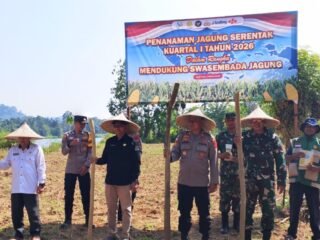 Danramil 01/Jaya Hadiri Penanaman Jagung Serentak Kuartal I Tahun 2026