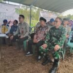 Komitmen Dandim 1005/Barito Kuala: Optimalisasi Lahan CSR Demi Ketahanan Pangan