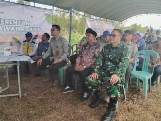 Komitmen Dandim 1005/Barito Kuala: Optimalisasi Lahan CSR Demi Ketahanan Pangan