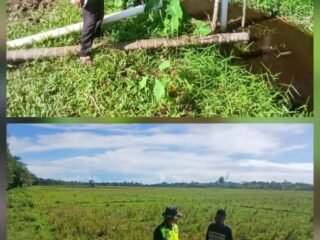 Babinsa Koramil 02/Woyla, Laksanakan Pengecekan Parit Saluran Air Sawah Bersama Petani di Wilayah Binaan