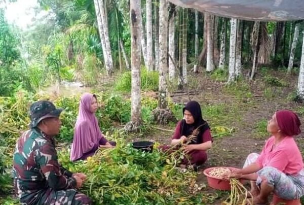 Komsos Babinsa Kodim 0118/Subulussalam Jajaran Korem 012/TU Perkuat Ketahanan Pangan Keluarga