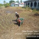 Babinsa Koramil 1005-11 Tabunganen Hadir, Petani Semakin Bersemangat Tanam Padi