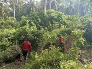 Babinsa Kodim 0112/Sabang Jajaran Korem 012/TU Dukung Pengembangan BUMG di Aneuk Laot