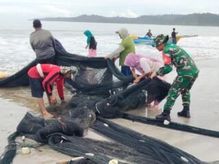 Babinsa Kodim 0115/Simeulue Jajaran Korem 012/TU Imbau Nelayan Hindari Penangkapan Ikan Merusak