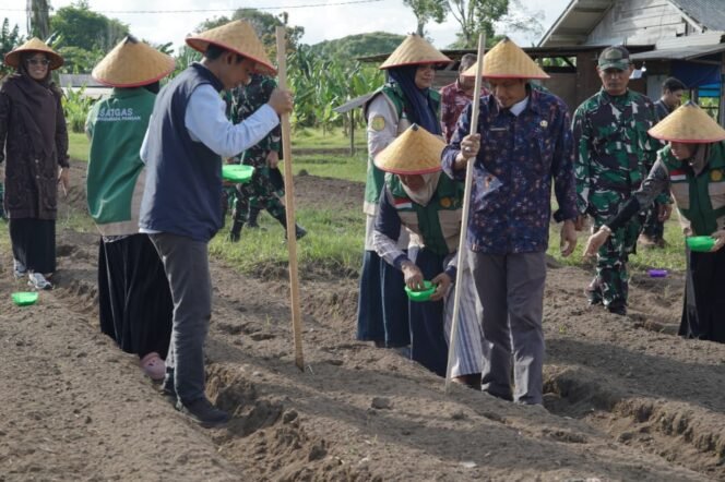 
					Danrem 012/TU Turun Langsung Tanam Jagung Bersama Instansi Terkait
