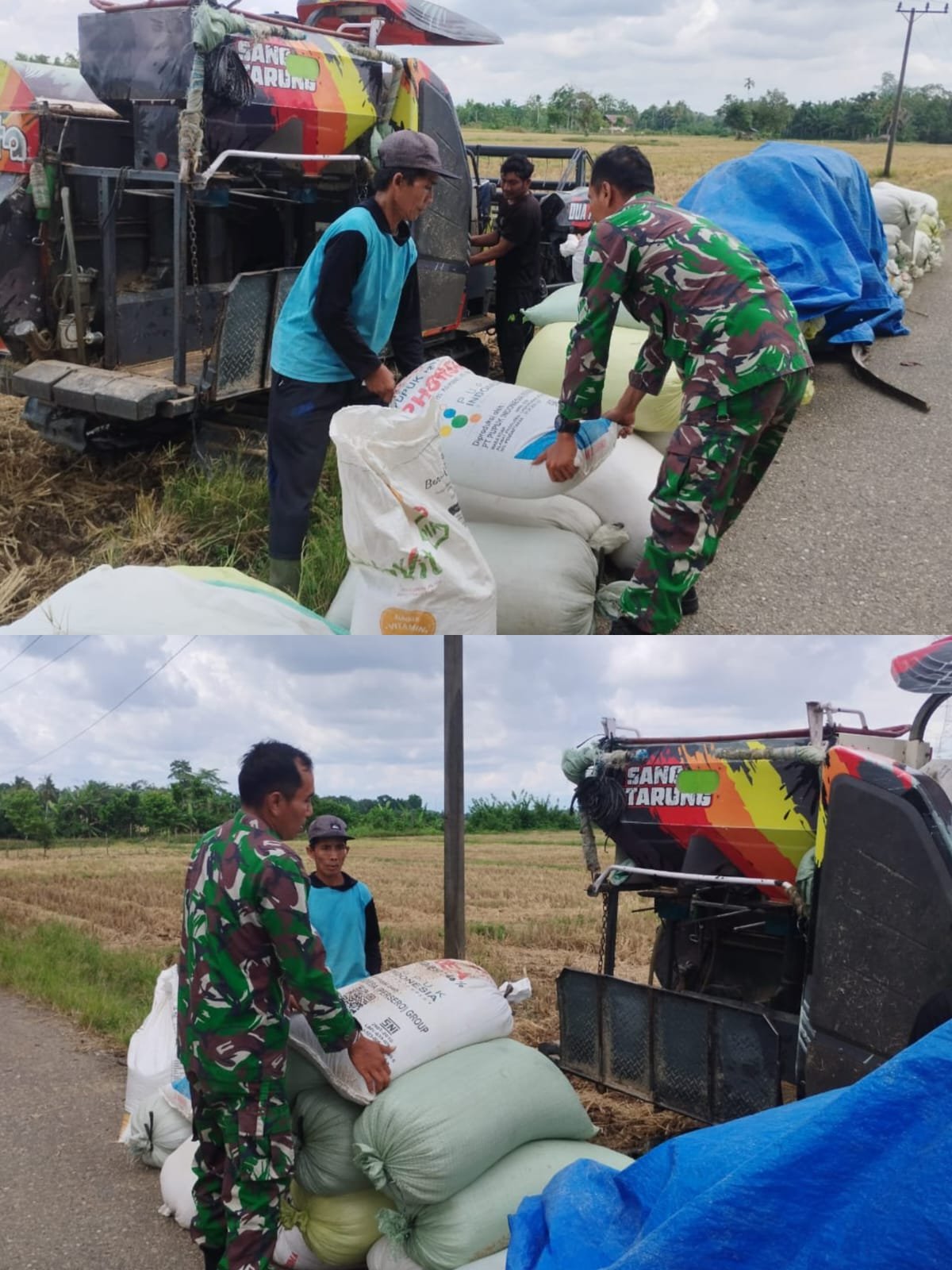 Kehadiran Babinsa Permudah Petani Amankan Hasil Panen