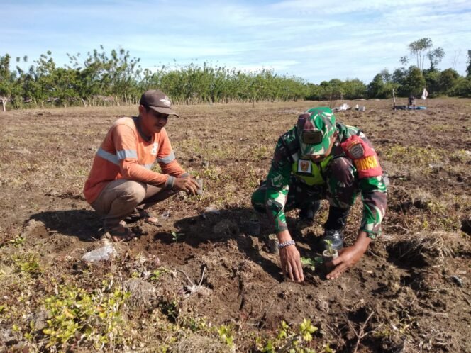 
					Dukung Ketahanan Pangan, Babinsa Kodim 0116/Nagan Raya Dampingi Petani