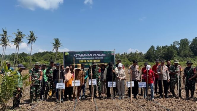 
					Dari Tanah ke Harapan, Semangat Ketahanan Pangan TMMD ke-128 Hidup di Desa Tudungano