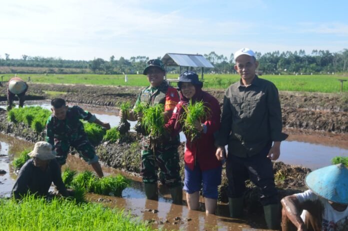 Dandim 1014/Pbn Letkol Inf Makin S.Sos., M.I.P. bersama Kabid PSP Ibu Noreti, Kabid Tanaman Pangan Bapak H. Iskandar