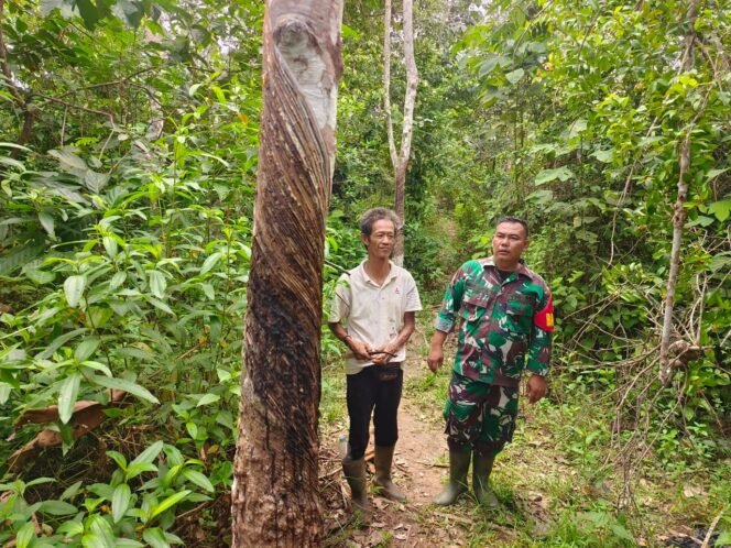 
					Babinsa Kodim 0405/Lahat Lakukan Komsos, TMMD Wujudkan Kebersamaan dengan Warga